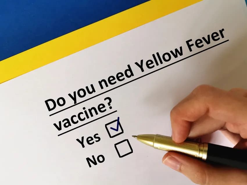 Where to Get a Yellow Fever Injection: All You Need to Know