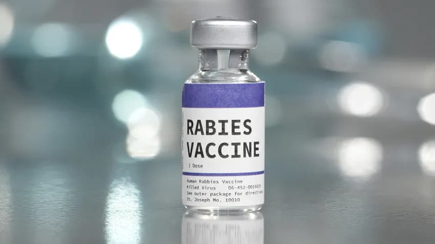 How Long Does the Rabies Vaccine Last?