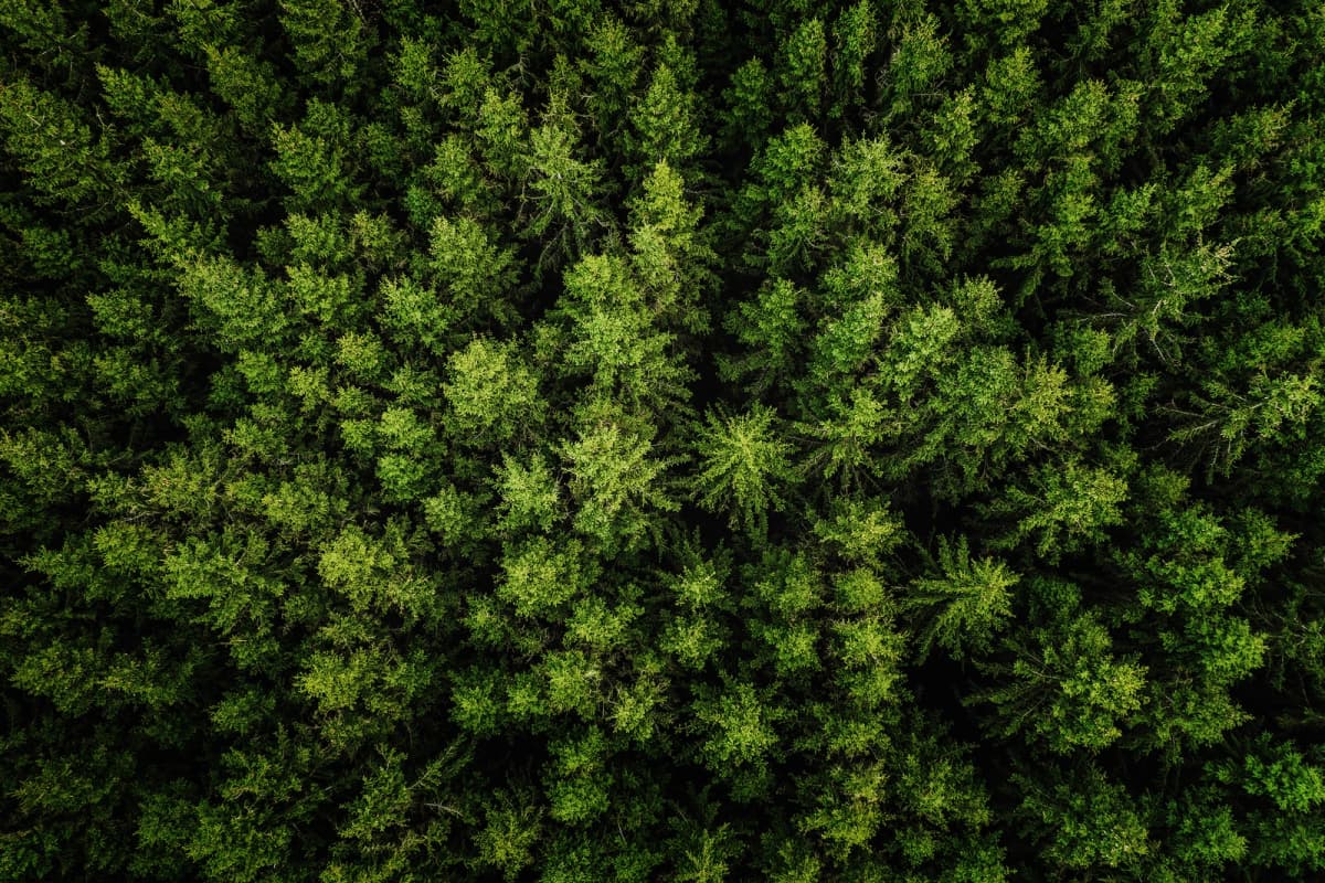 Local Travel Clinic near Chiswick