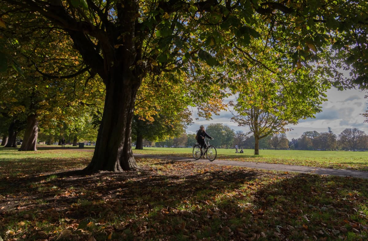 Travel Vaccines in Ealing: Frequently Asked Questions